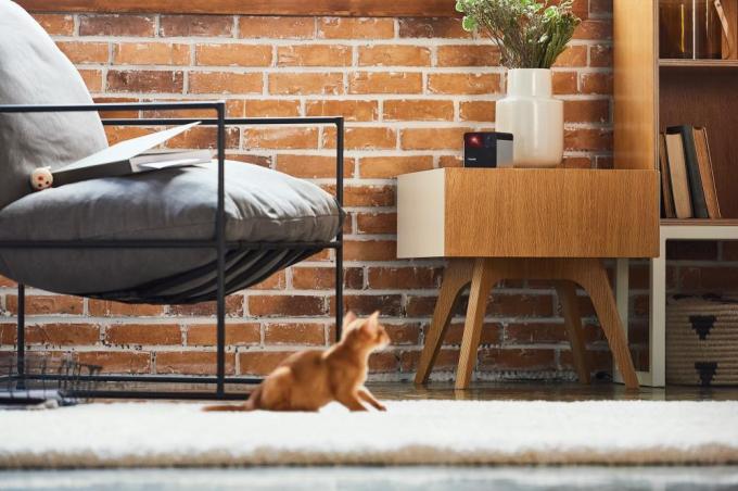 PETCUBE PP20US