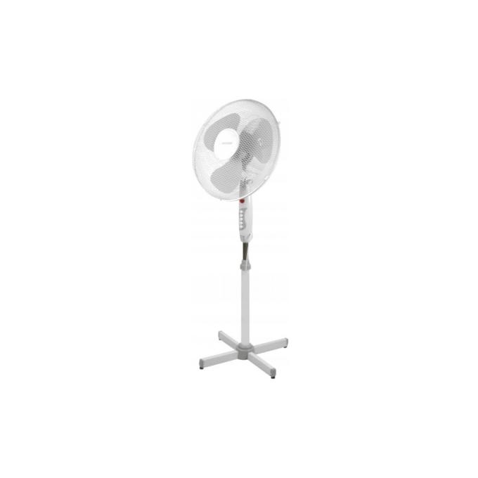 Esperanza EHF001WE