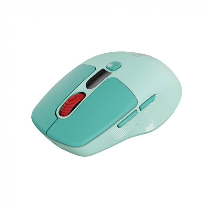 Canyon CNS-CMSW26GR