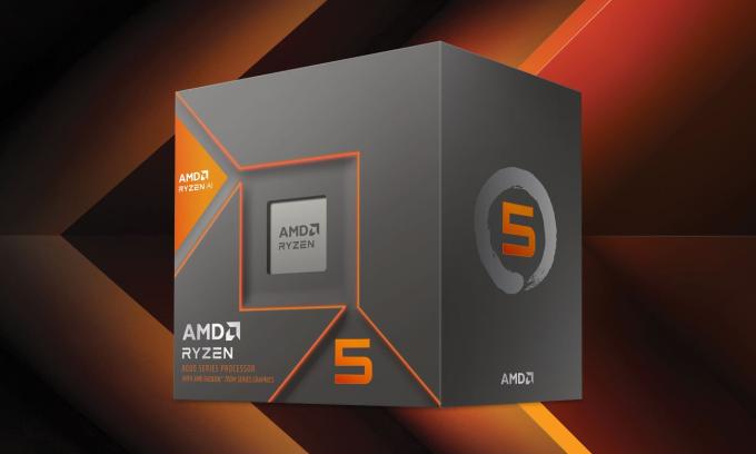 AMD 100-100001237BOX