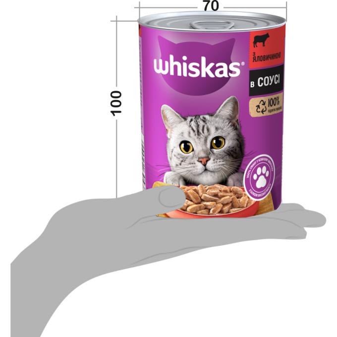 Whiskas 5900951305382