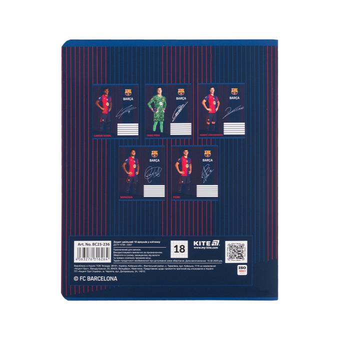 Kite BC25-236