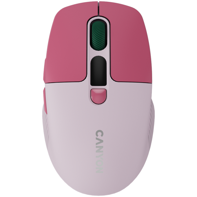 Canyon CNS-CMSW26P