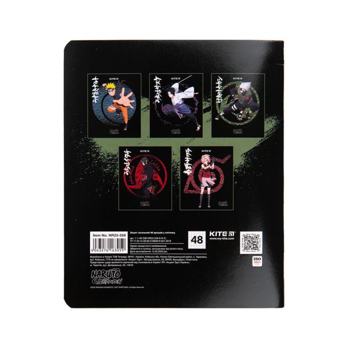 Kite NR23-259