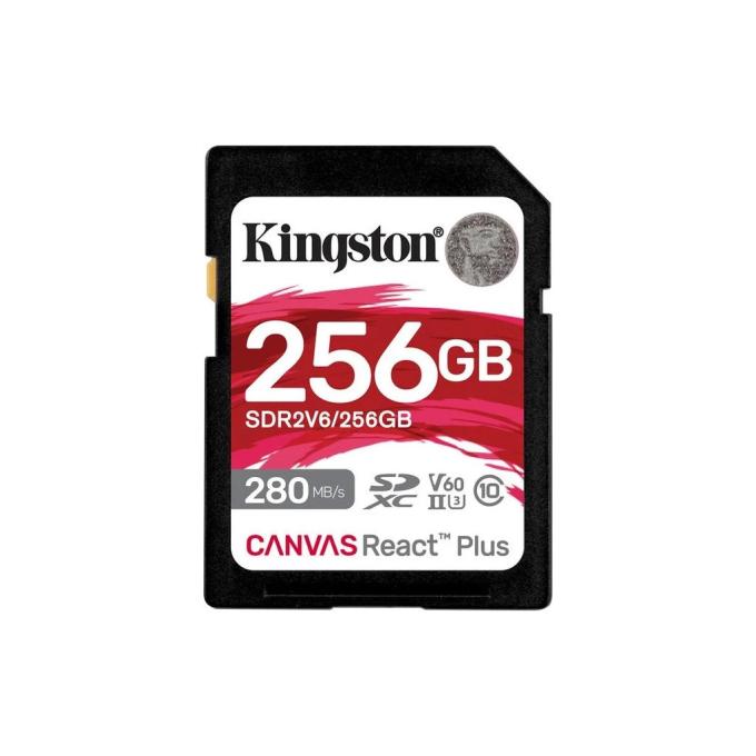 Kingston SDR2V6/256GB
