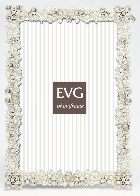 EVG Z11 Silver