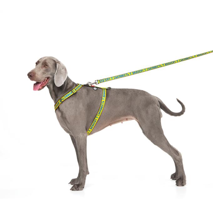 WAUDOG 5160-0231