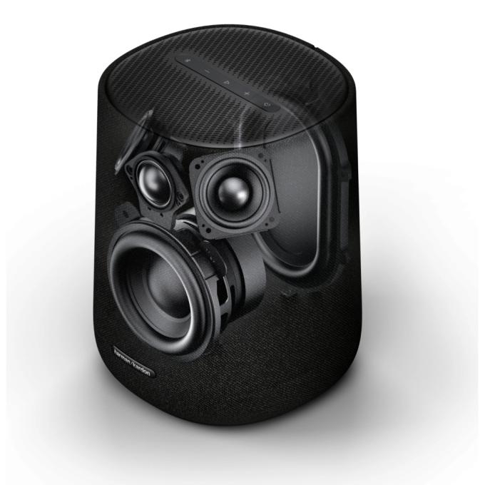 Harman/Kardon HKENCH900W2SPKSUB