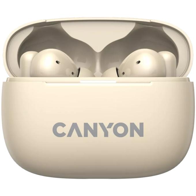 Canyon CNS-TWS10BG