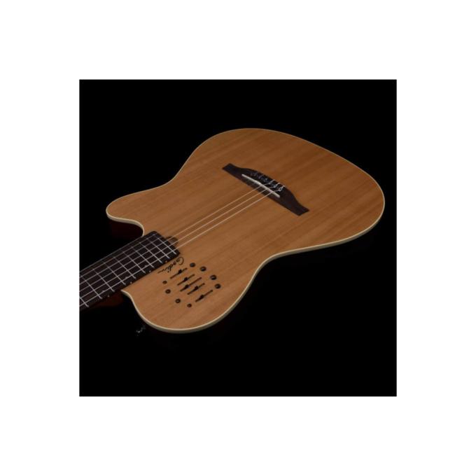 Godin 235917