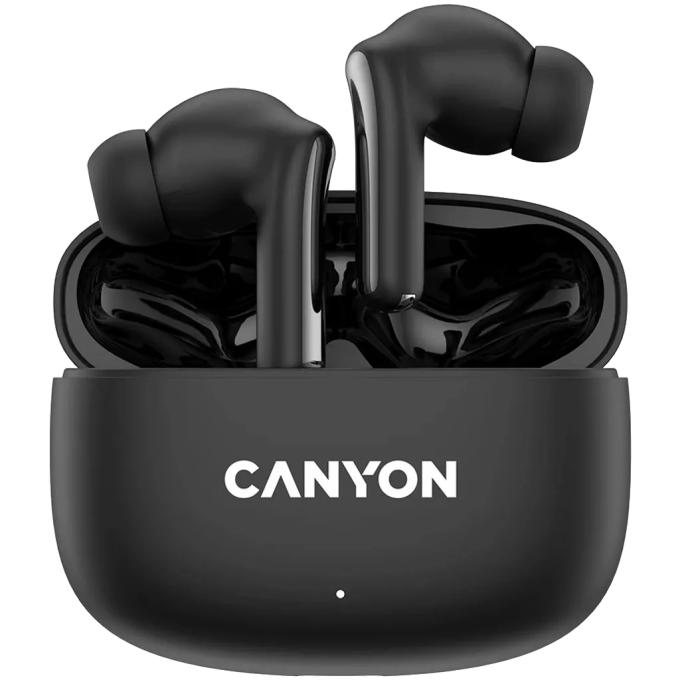 Canyon CNS-TWS9B