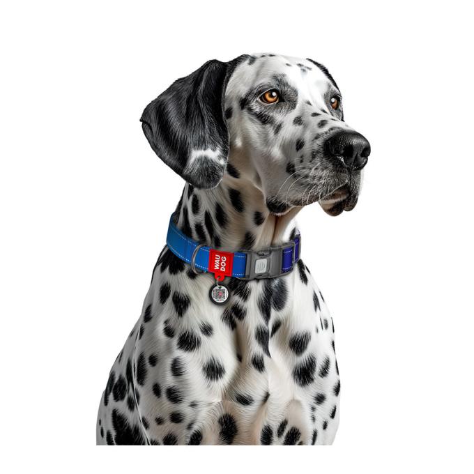 WAUDOG 521012