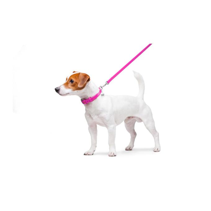 WAUDOG 33727