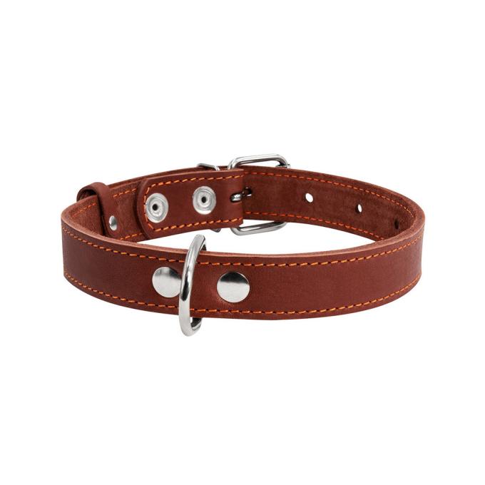 Collar 02736