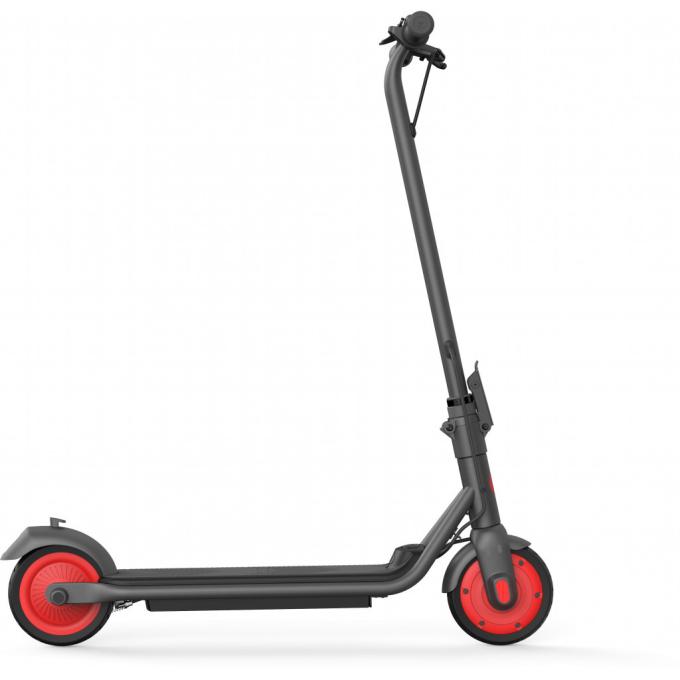 Segway AA.00.0011.54