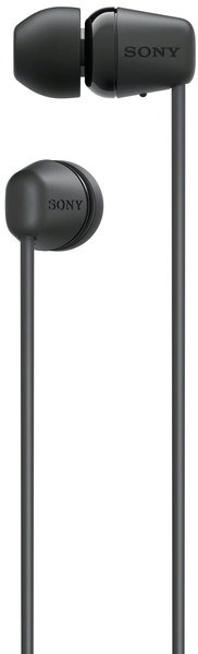 SONY WIC100B.CE7