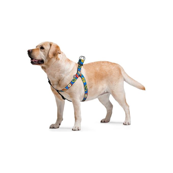 WAUDOG 5012