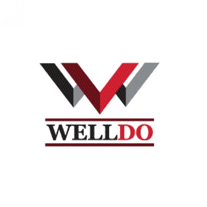WELLDO 2BR06520-WDS