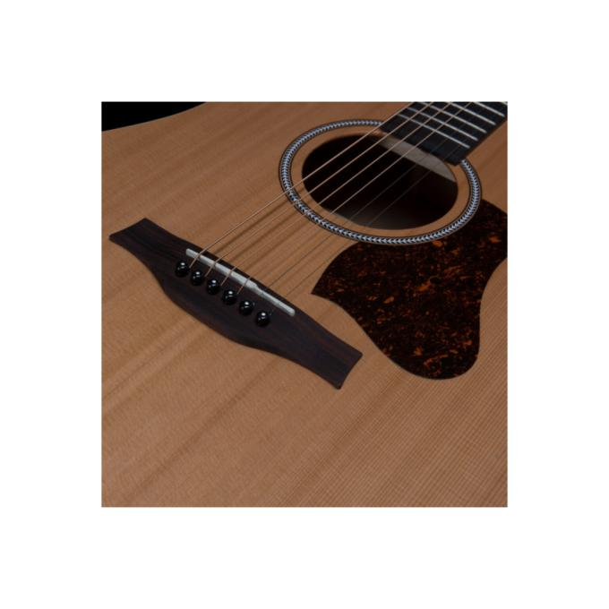 Seagull 235904
