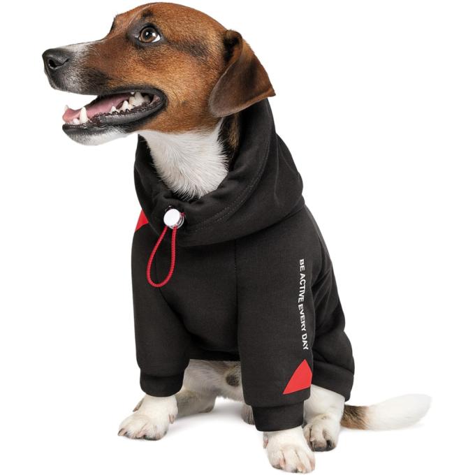 Pet Fashion 4823082423415