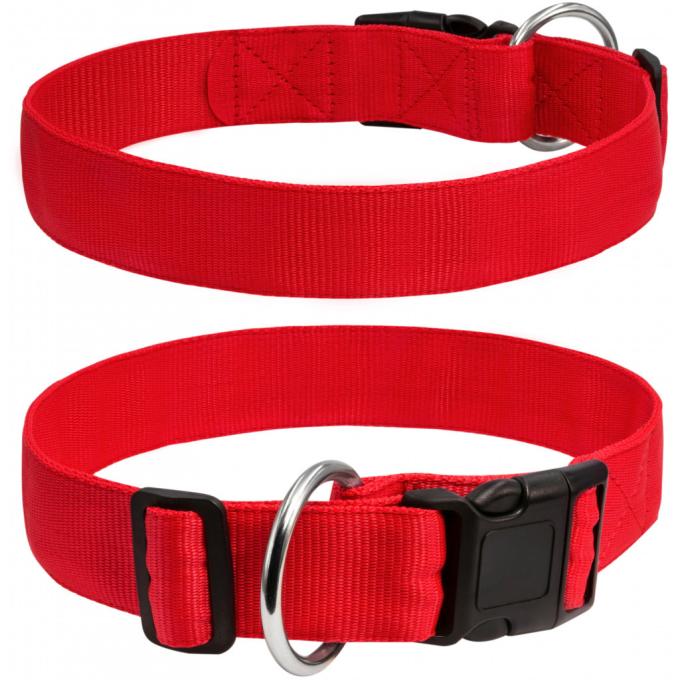 Collar 67003