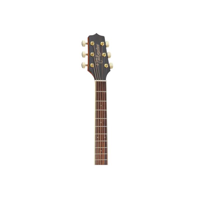Takamine 221922