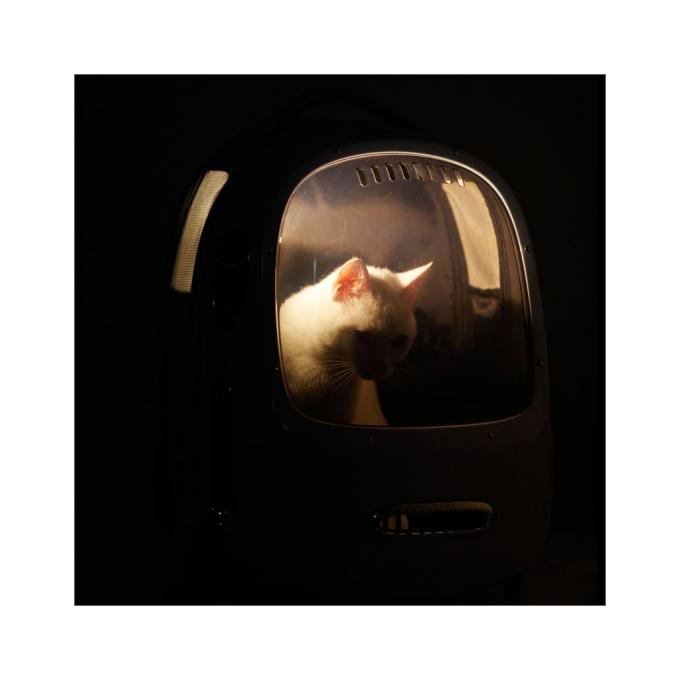 Petkit 713112