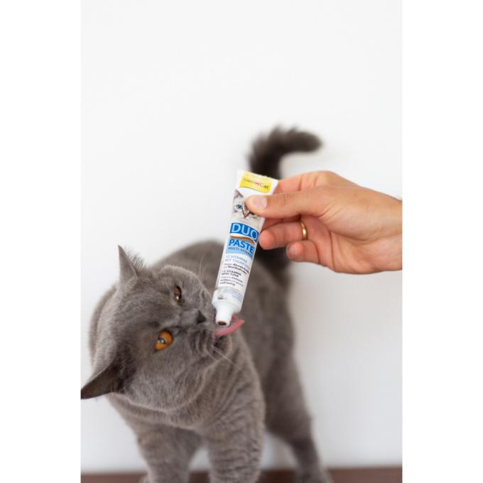 GimCat 4002064421858