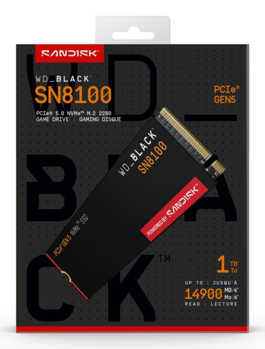 SANDISK WDS100T1X0M
