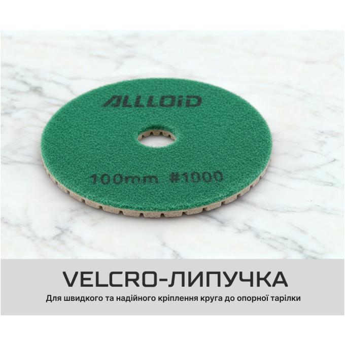 Alloid DD-63289
