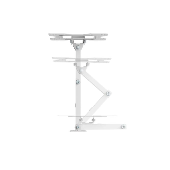 Kivi Motion-223W