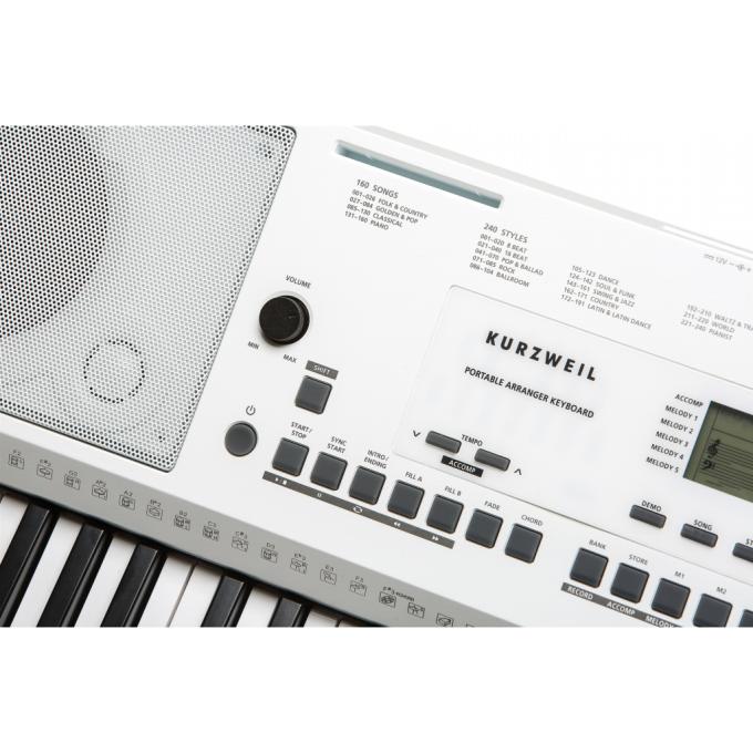 Kurzweil 286763