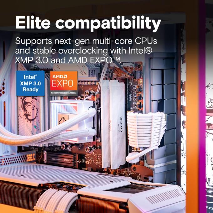 Crucial CP2K16G64C32U5W