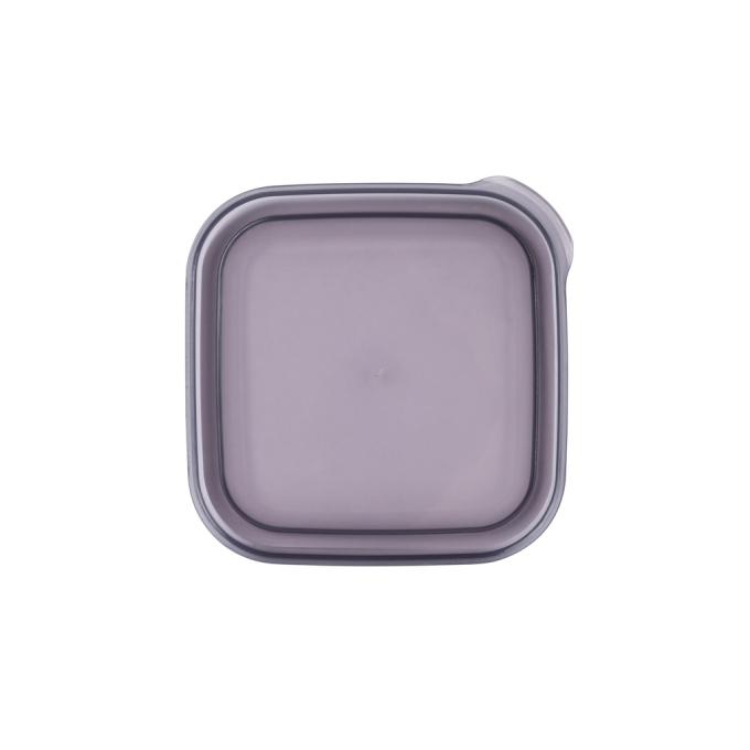 VIOLET HOUSE 0299 Transparent Black