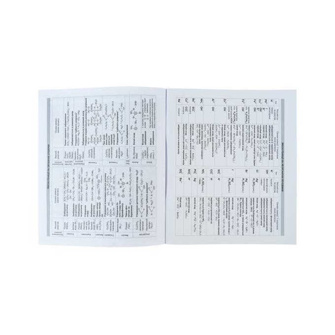Kite K24-240-22