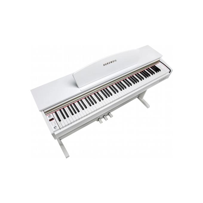 Kurzweil 285608