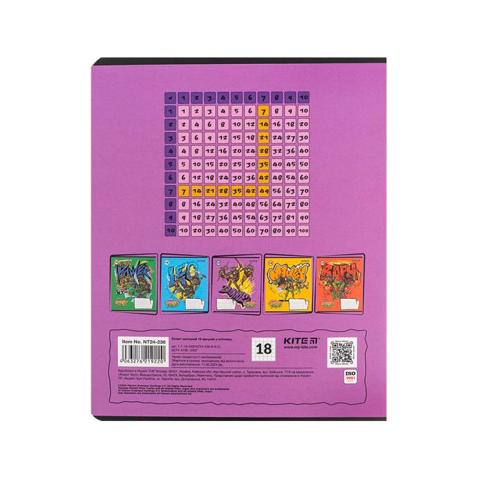 Kite NT24-236