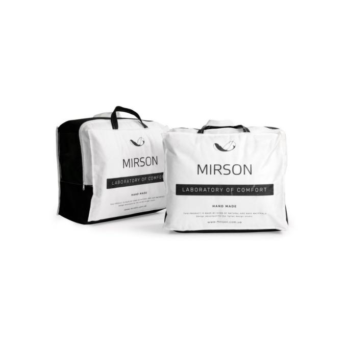 MirSon 2200000144669