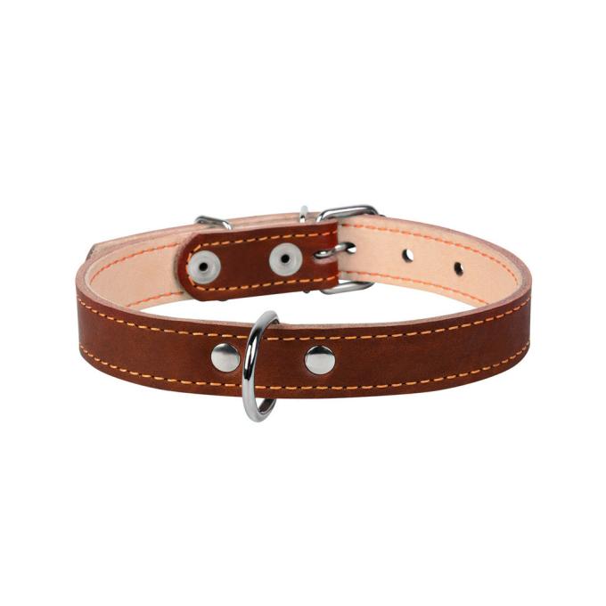 Collar 00126