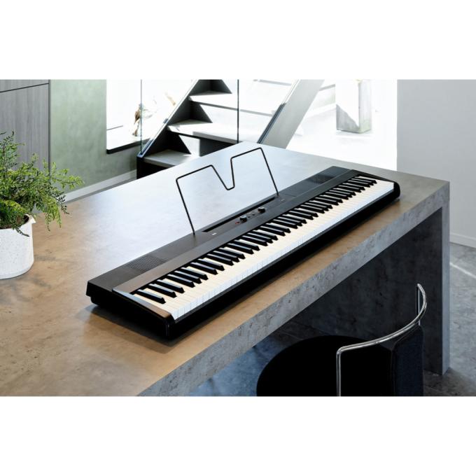 Korg 233800