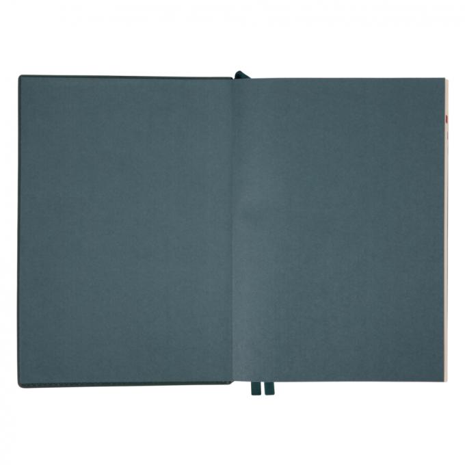 Leo planner 252646