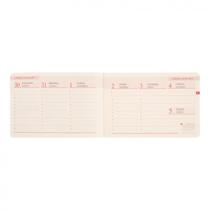 Leo planner 252571