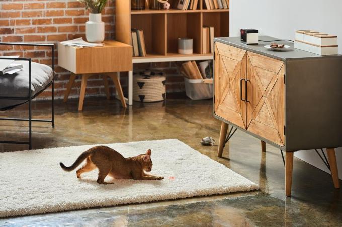 PETCUBE PP20US