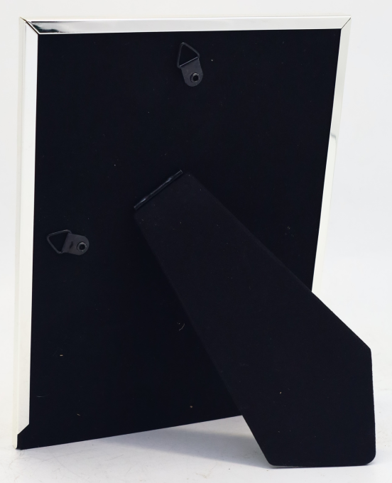 EVG S11 Silver