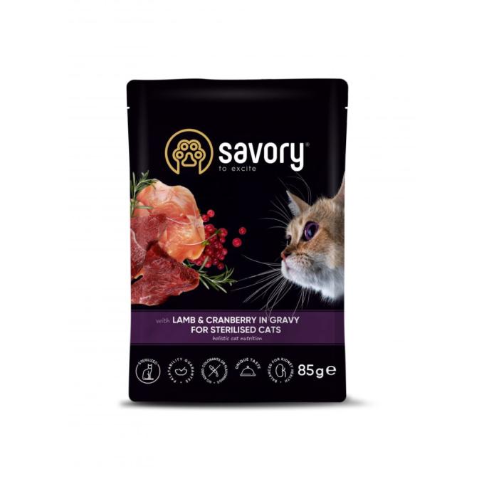 Savory 4820261920093