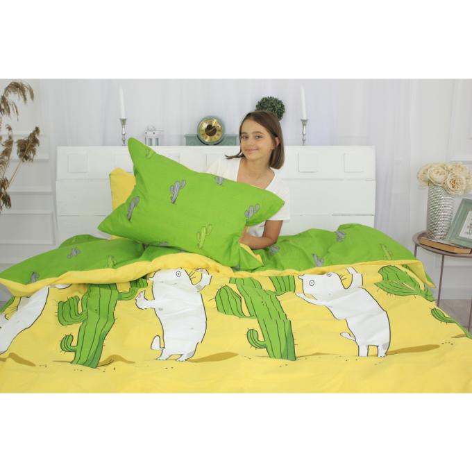 MirSon 2200002667982