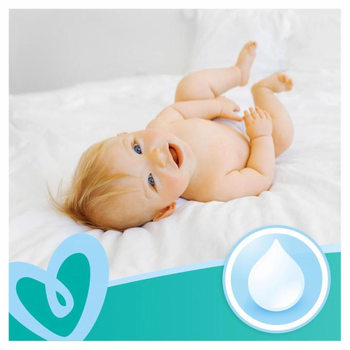 Pampers 8001841077598