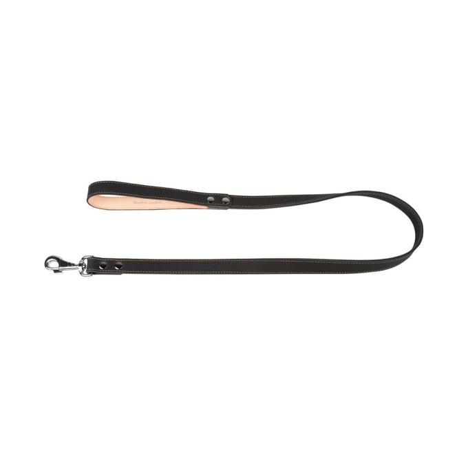 Collar 04521