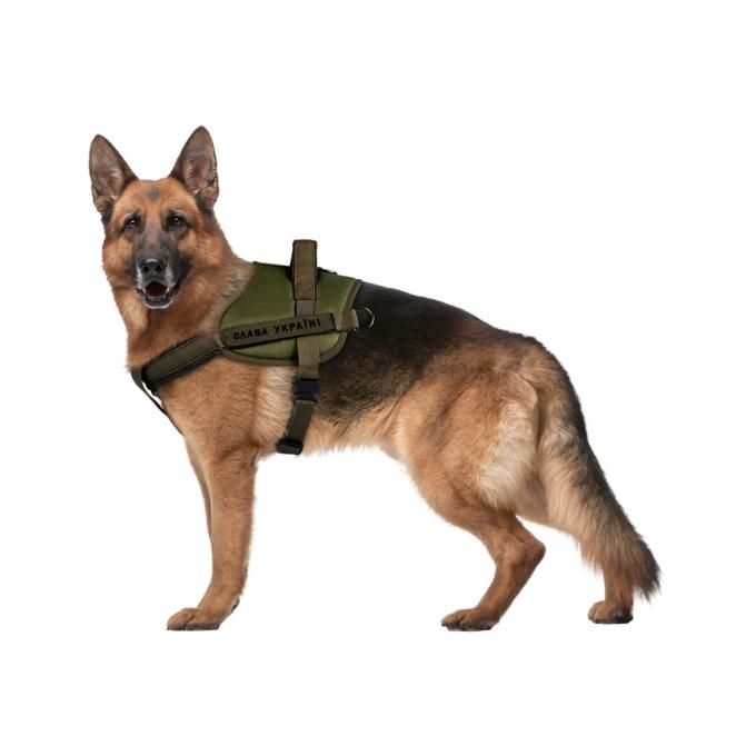 WAUDOG 689231