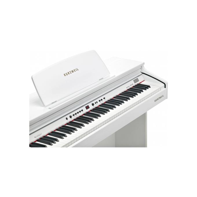 Kurzweil 283886